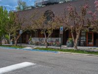 street corner with tree on the corner of the corner and a building behind it that is surrounded by multiple windows and a perforated brown lattice