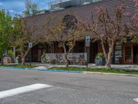 street corner with tree on the corner of the corner and a building behind it that is surrounded by multiple windows and a perforated brown lattice