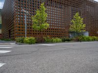 street corner with tree on the corner of the corner and a building behind it that is surrounded by multiple windows and a perforated brown lattice