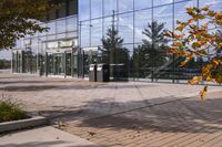 a walkway in front of an office building with some trees in the foreground, and fall foliage all around it