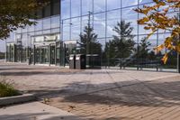 a walkway in front of an office building with some trees in the foreground, and fall foliage all around it