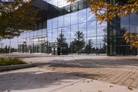 a walkway in front of an office building with some trees in the foreground, and fall foliage all around it