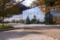 a walkway in front of an office building with some trees in the foreground, and fall foliage all around it