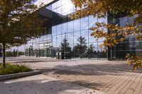 a walkway in front of an office building with some trees in the foreground, and fall foliage all around it