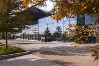 a walkway in front of an office building with some trees in the foreground, and fall foliage all around it