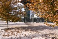 a walkway in front of an office building with some trees in the foreground, and fall foliage all around it