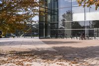 a walkway in front of an office building with some trees in the foreground, and fall foliage all around it