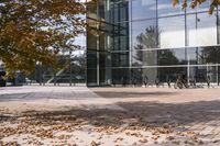 a walkway in front of an office building with some trees in the foreground, and fall foliage all around it