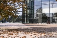 a walkway in front of an office building with some trees in the foreground, and fall foliage all around it