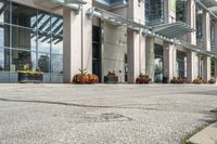 a sidewalk with flowers outside of the building with windows on it and plants in the containers next to it