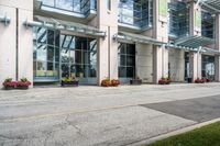 a sidewalk with flowers outside of the building with windows on it and plants in the containers next to it