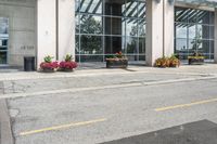 a sidewalk with flowers outside of the building with windows on it and plants in the containers next to it