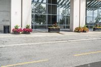 a sidewalk with flowers outside of the building with windows on it and plants in the containers next to it