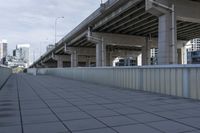 Modern Urban Cityscape: Buildings and Bridge