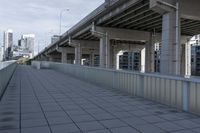 Modern Urban Cityscape with Buildings and Bridge 002