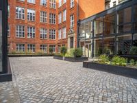 an empty parking lot with plants in the ground and on the side of the building, there is an enclosed area and windows