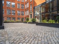 an empty parking lot with plants in the ground and on the side of the building, there is an enclosed area and windows