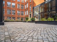 an empty parking lot with plants in the ground and on the side of the building, there is an enclosed area and windows