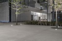 concrete patio with lighted trees in the middle of it at night, with an area with trees and lights on