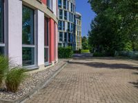 there is a brick pathway next to a building near trees and grass covered sidewalks