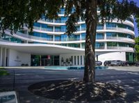 large tree near circular circle with office building behind it in the background of square pavement