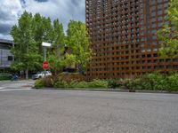 street corner with tree on the corner of the corner and a building behind it that is surrounded by multiple windows and a perforated brown lattice