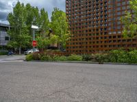 street corner with tree on the corner of the corner and a building behind it that is surrounded by multiple windows and a perforated brown lattice