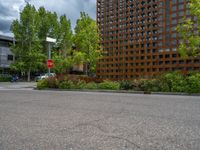 street corner with tree on the corner of the corner and a building behind it that is surrounded by multiple windows and a perforated brown lattice