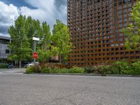 street corner with tree on the corner of the corner and a building behind it that is surrounded by multiple windows and a perforated brown lattice