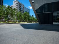 a city sidewalk with a building in the background and trees around it in the foreground