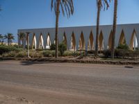 Modern Urban Road in Egypt with Palm Trees