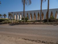 Modern Urban Road in Egypt with Palm Trees