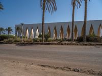 Modern Urban Road in Egypt with Palm Trees