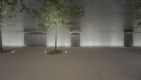 two tree growing in an empty courtyard at night with benches on either side and concrete wall