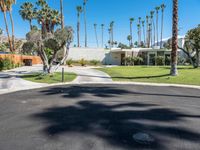 palm trees line the lawn and road outside a house in palm springs, florida with a white house in the back