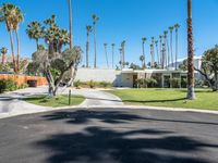 palm trees line the lawn and road outside a house in palm springs, florida with a white house in the back