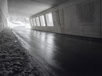 Monochromatic View: City Road and Underpass