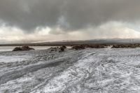 Monochromatic Winter Landscape: Rugged Mountains and Snow