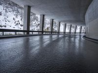 Monochrome Architecture: Bridge in the City