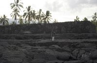 Monochrome Landscape: Medium Format View