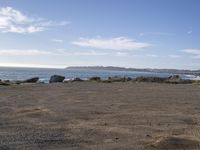 a beach area with rocks and the ocean in the distance and a bird flying overhead