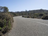 a long paved road surrounded by brush and shrubbery on both sides of the road