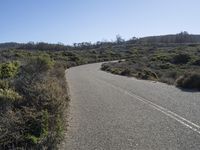 a long paved road surrounded by brush and shrubbery on both sides of the road