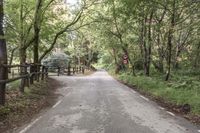 Montseny Park in Barcelona: A Top-Down View of Trees