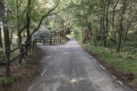 Montseny Park in Barcelona: A Top-Down View of Trees