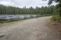 a trail running along the side of a lake in the woods near a wooded area