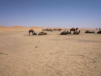 Off-Road Track Through the Moroccan Desert