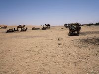 Off-Road Track Through the Moroccan Desert