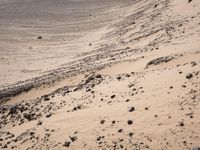 a horse in the middle of a barren desert area that has been eroded into the sand with rocks and gravel