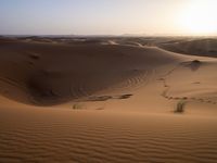 Morocco Desert Landscape: A Beautiful Day in the Sands